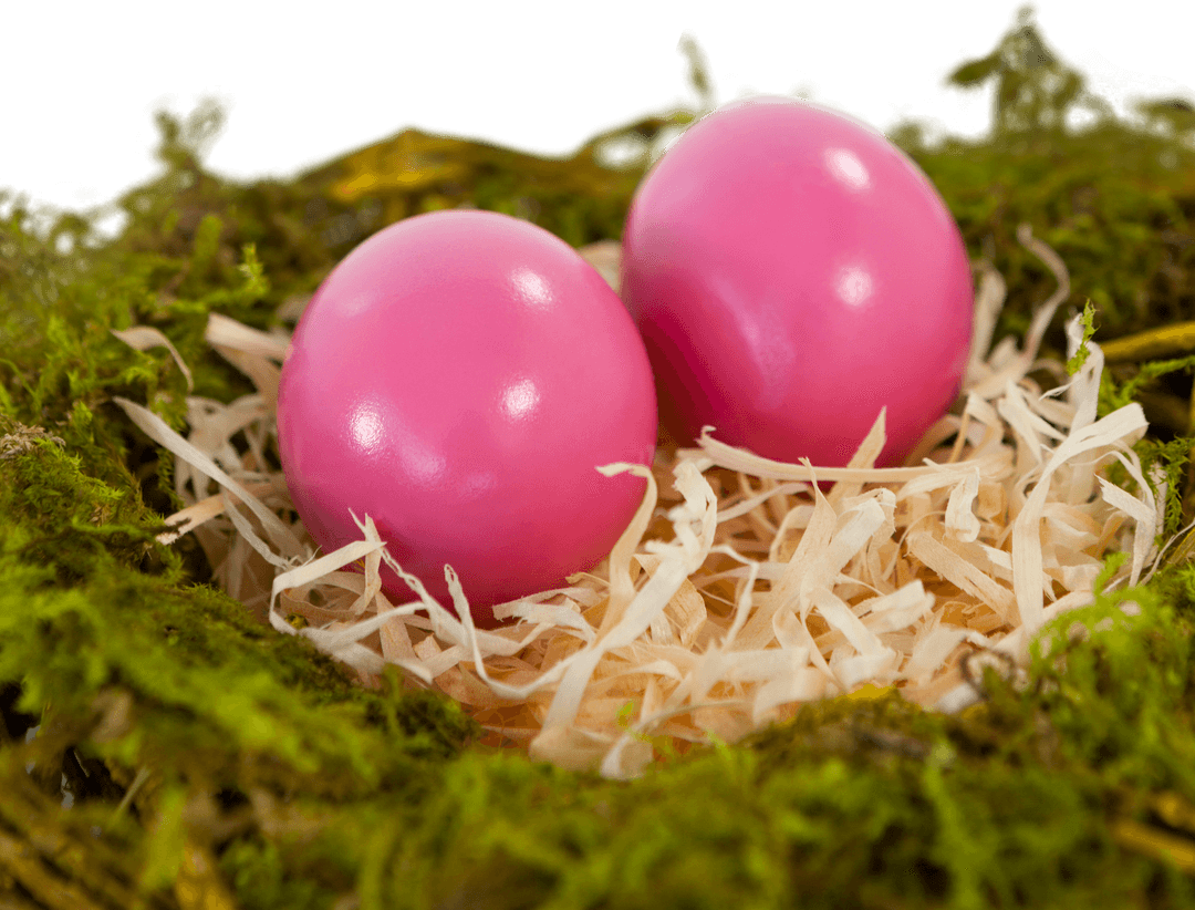 Pink Easter Eggs in Paper Nest on Transparent Background