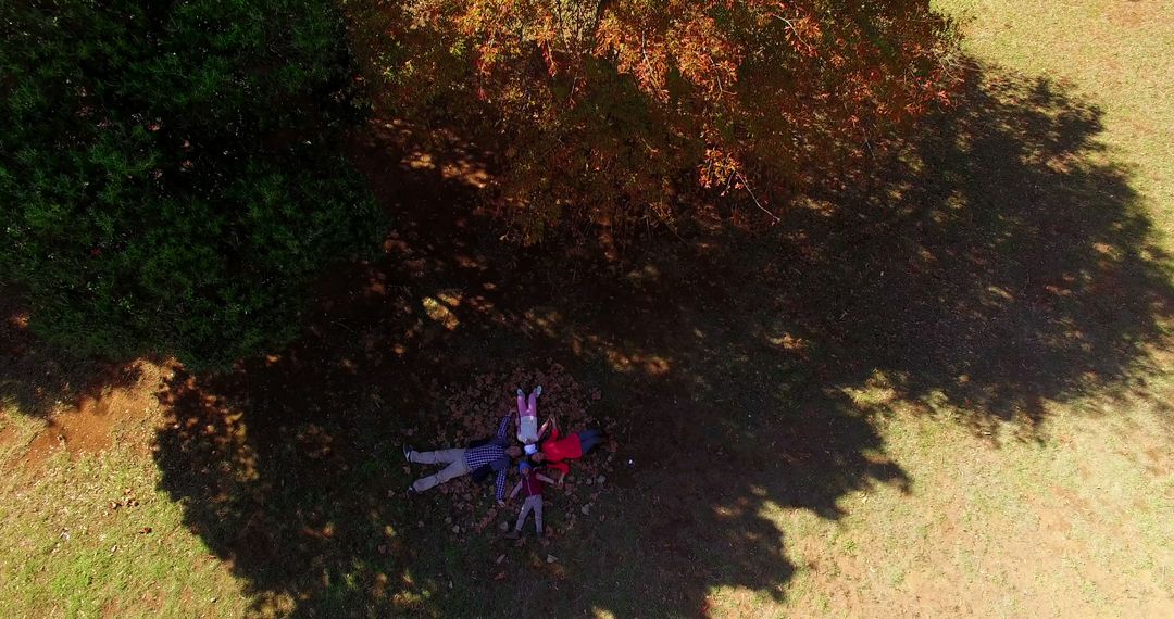 Aerial View of Couple Lying on Grass Under Tree in Autumn - Free Images, Stock Photos and Pictures on Pikwizard.com