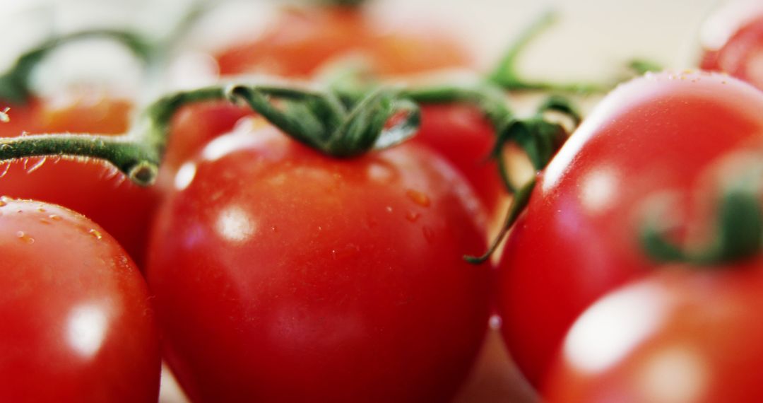 Fresh Red Vine Tomatoes Close-Up - Free Images, Stock Photos and Pictures on Pikwizard.com