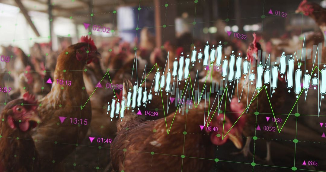 Financial Data Overlay on Chicken Farm Scene