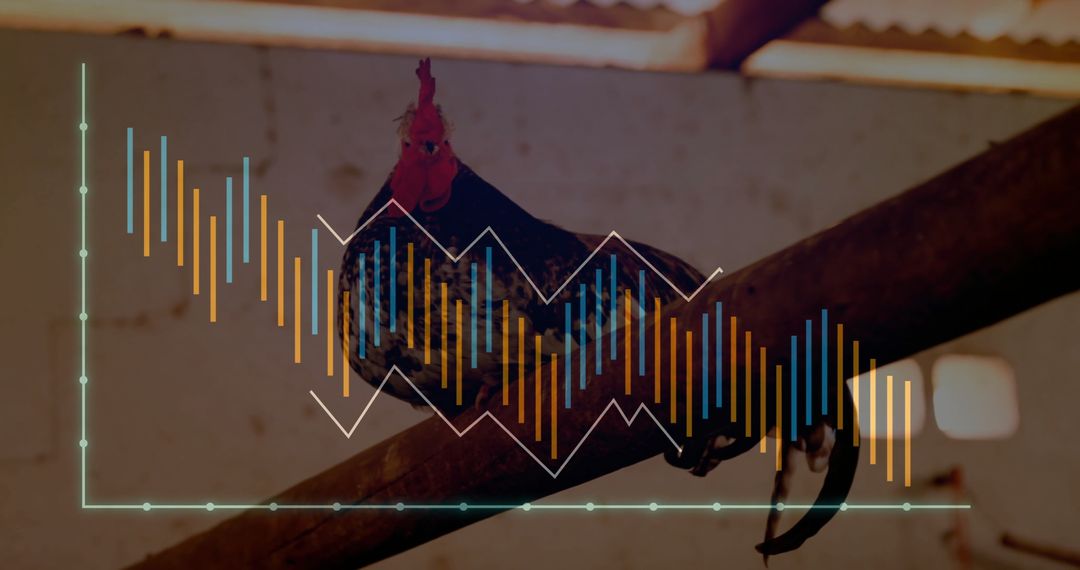 Rooster in Rustic Barn Overlaying Financial Graph