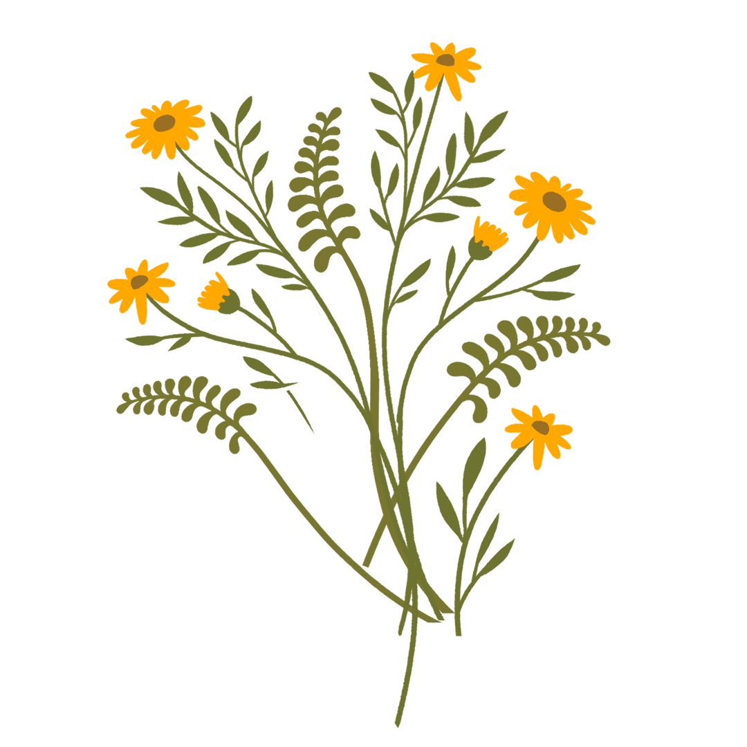 Flat Yellow Daisy Bouquet with Fern Leaves on a Transparent Background