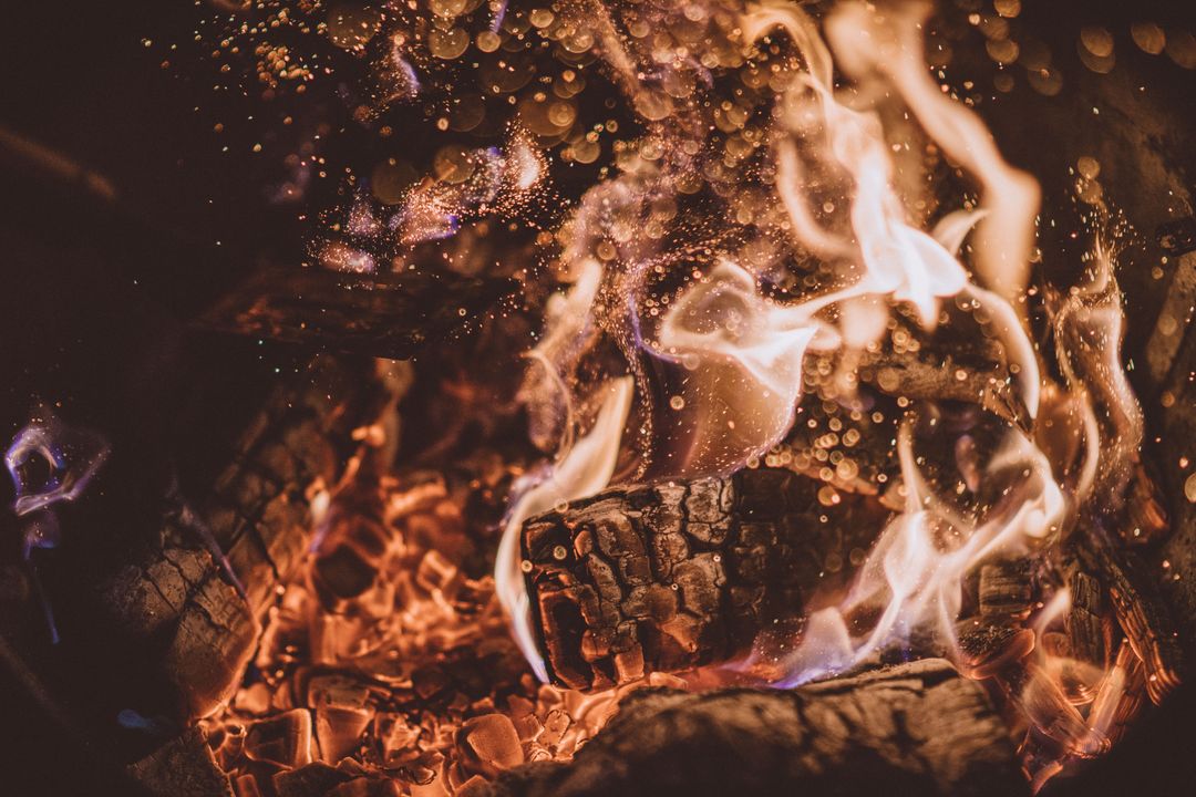 Close-Up of Burning Firewood with Glowing Embers