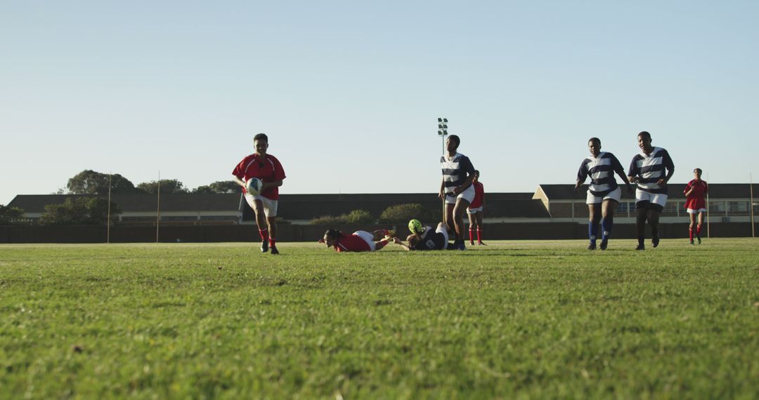 Rugby Players Competing in Outdoor Match on Sunny Day - Free Images, Stock Photos and Pictures on Pikwizard.com