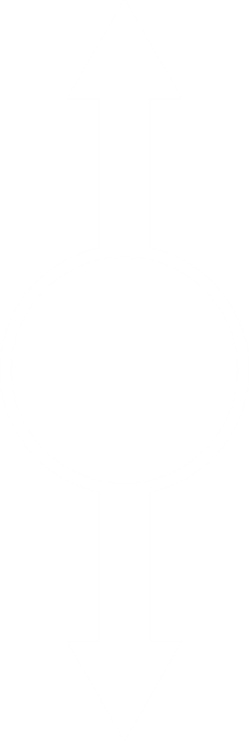 Transparent Vertical Double Arrow with Circle Icon