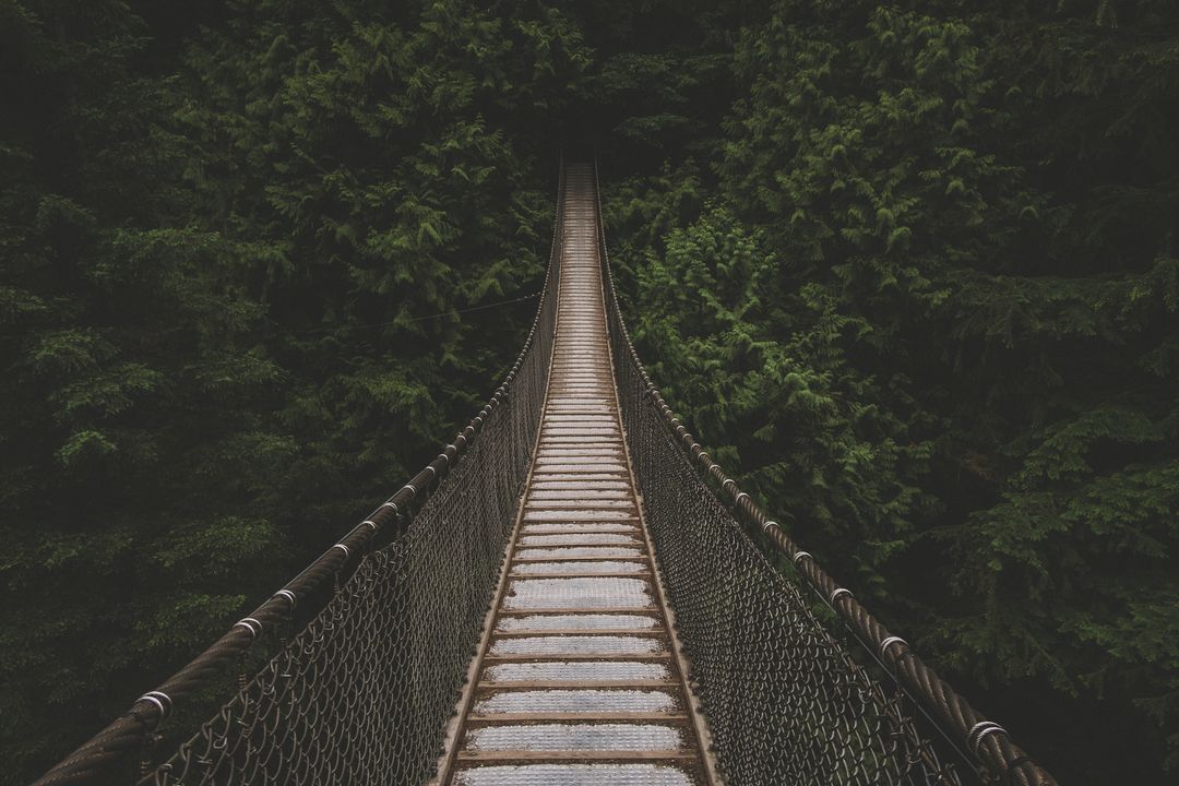 Suspension Bridge Amidst Dense Forest Foliage