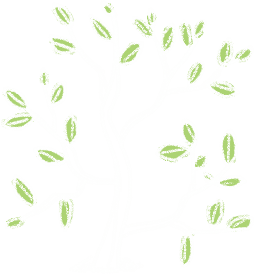 Chalkboard Sketch of Branching Plant with Leaves Transparent