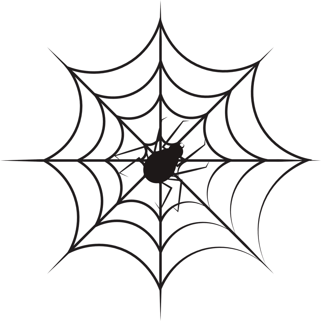 Black Spider on Web Design Illustration on Transparent Background