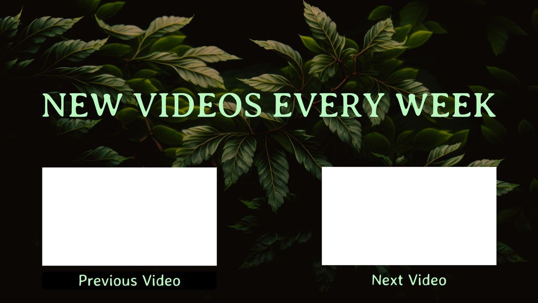 New Videos Every Week with Lush Greenery Backdrop Promoting Content - Download Free Stock Templates Pikwizard.com