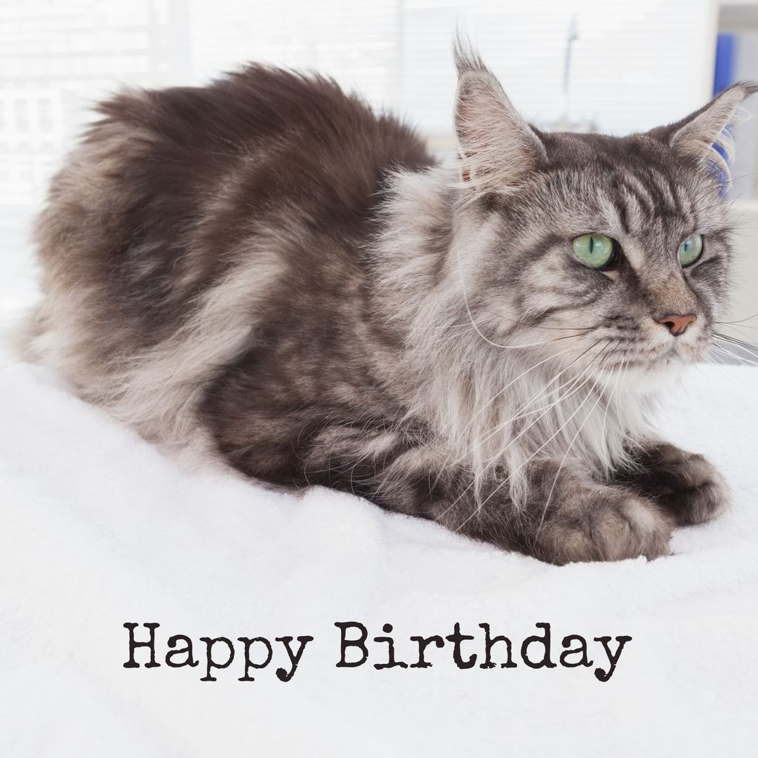 Fluffy Cat Birthday Greeting Card with Warm Tones - Download Free Stock Templates Pikwizard.com