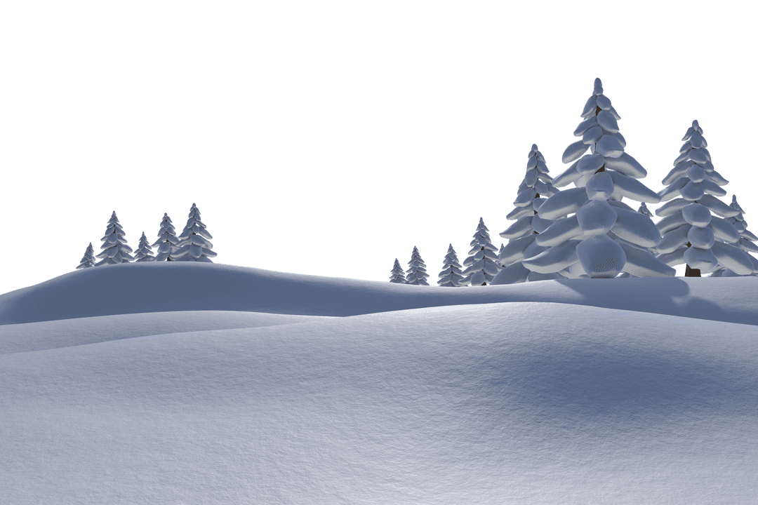 Sunny Winter Day with Transparent Snow-Covered Trees