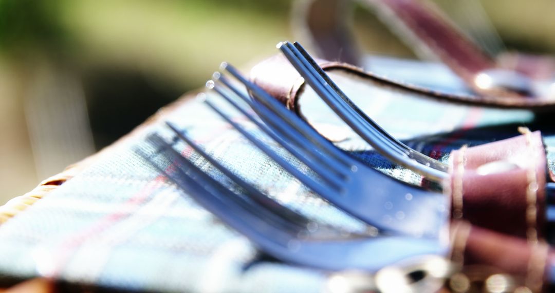 Close-Up of Forks on Checkered Napkin Outdoors - Free Images, Stock Photos and Pictures on Pikwizard.com