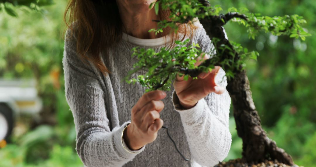 Woman Pruning Small Bonsai Tree in Outdoor Garden - Free Images, Stock Photos and Pictures on Pikwizard.com