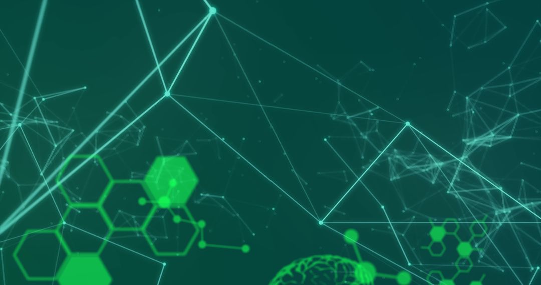 Conceptual Digital Network and Geometric Structures