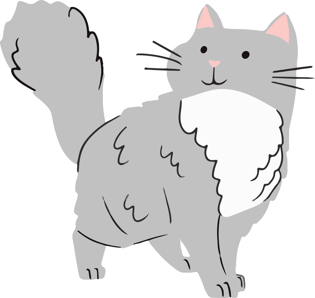 Grey Cat with Fluffy Tail on Transparent Background