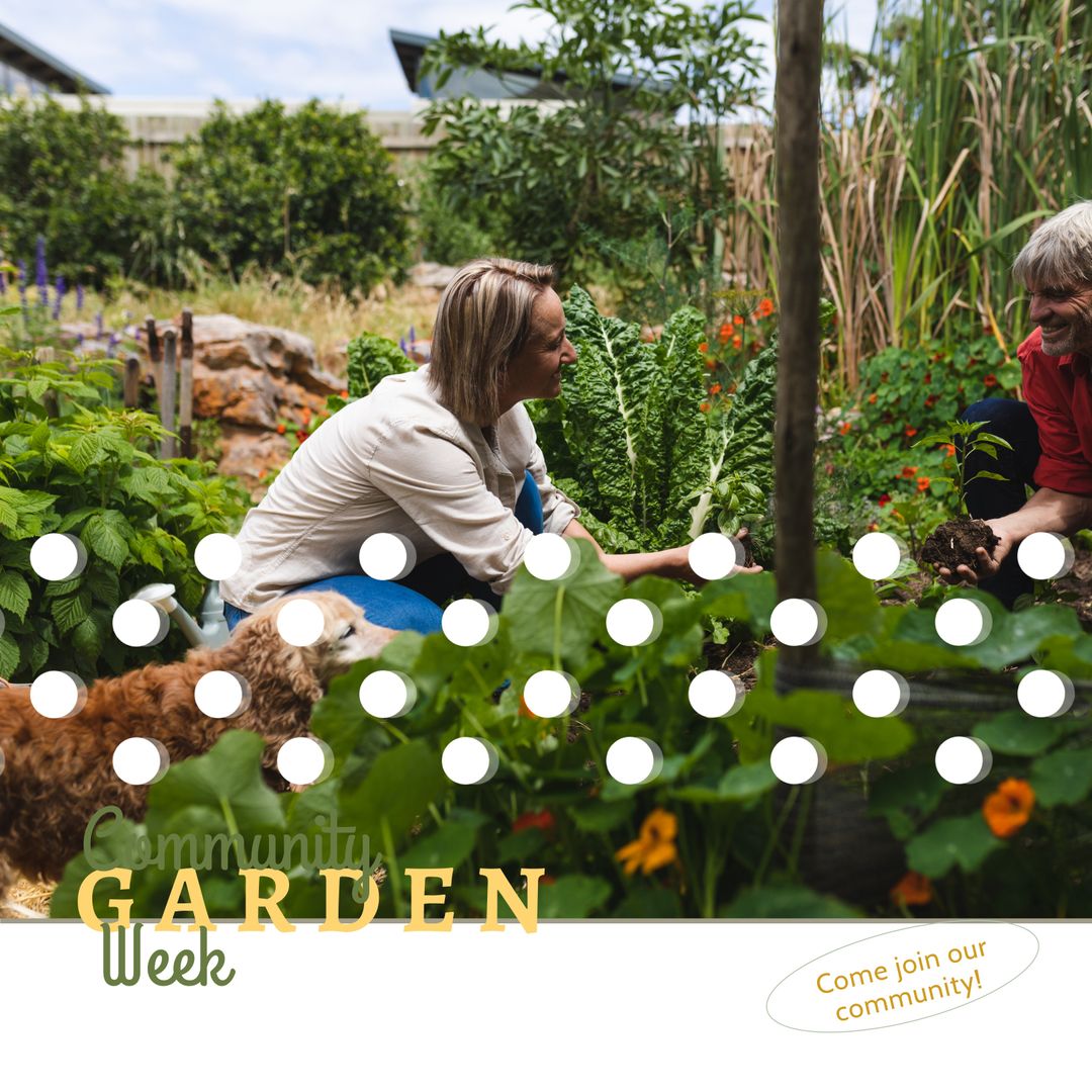 Local Community Garden Connection and Friendship