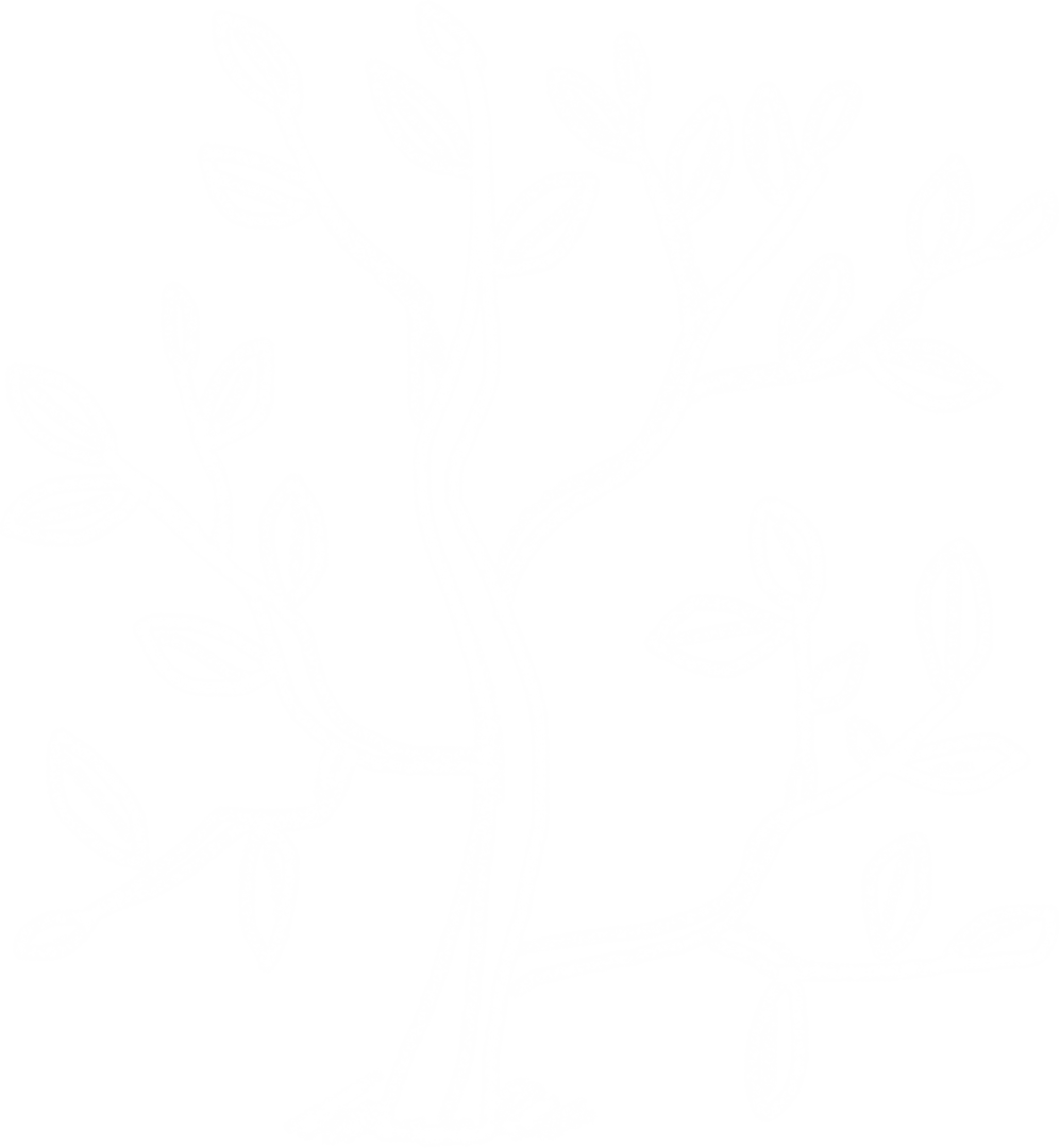White Bush Illustration on Transparent Background