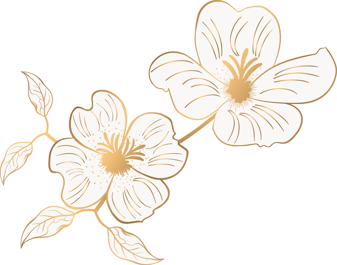 Elegant White Florals on Gold Branch with Transparent Background