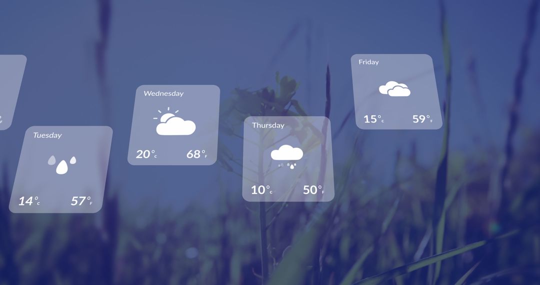Digital Weather Forecast Overlay Above Grass Background