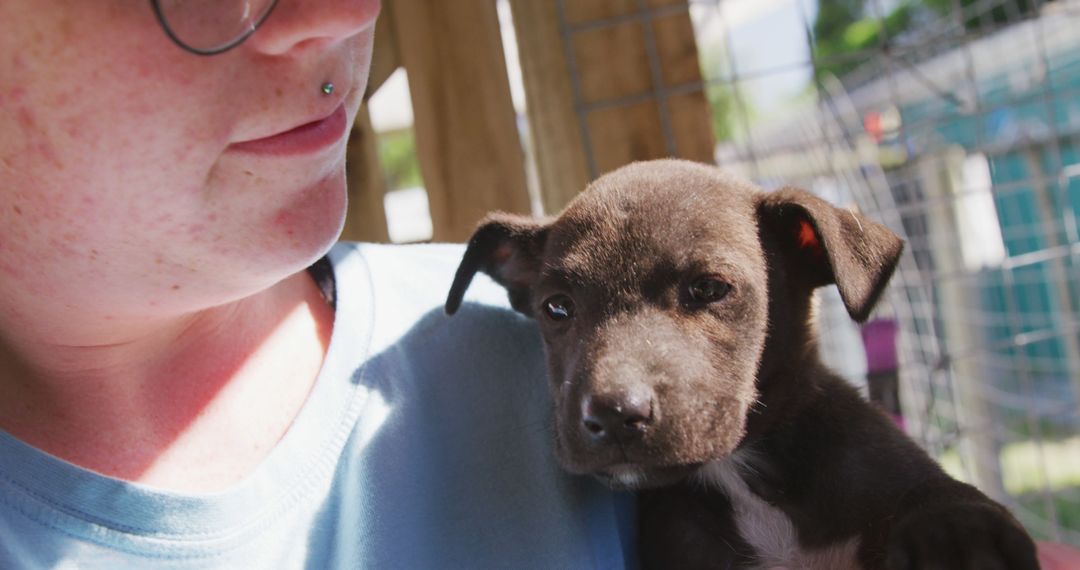 Caucasian woman holding black puppy in sunny dog shelter - Free Images, Stock Photos and Pictures on Pikwizard.com