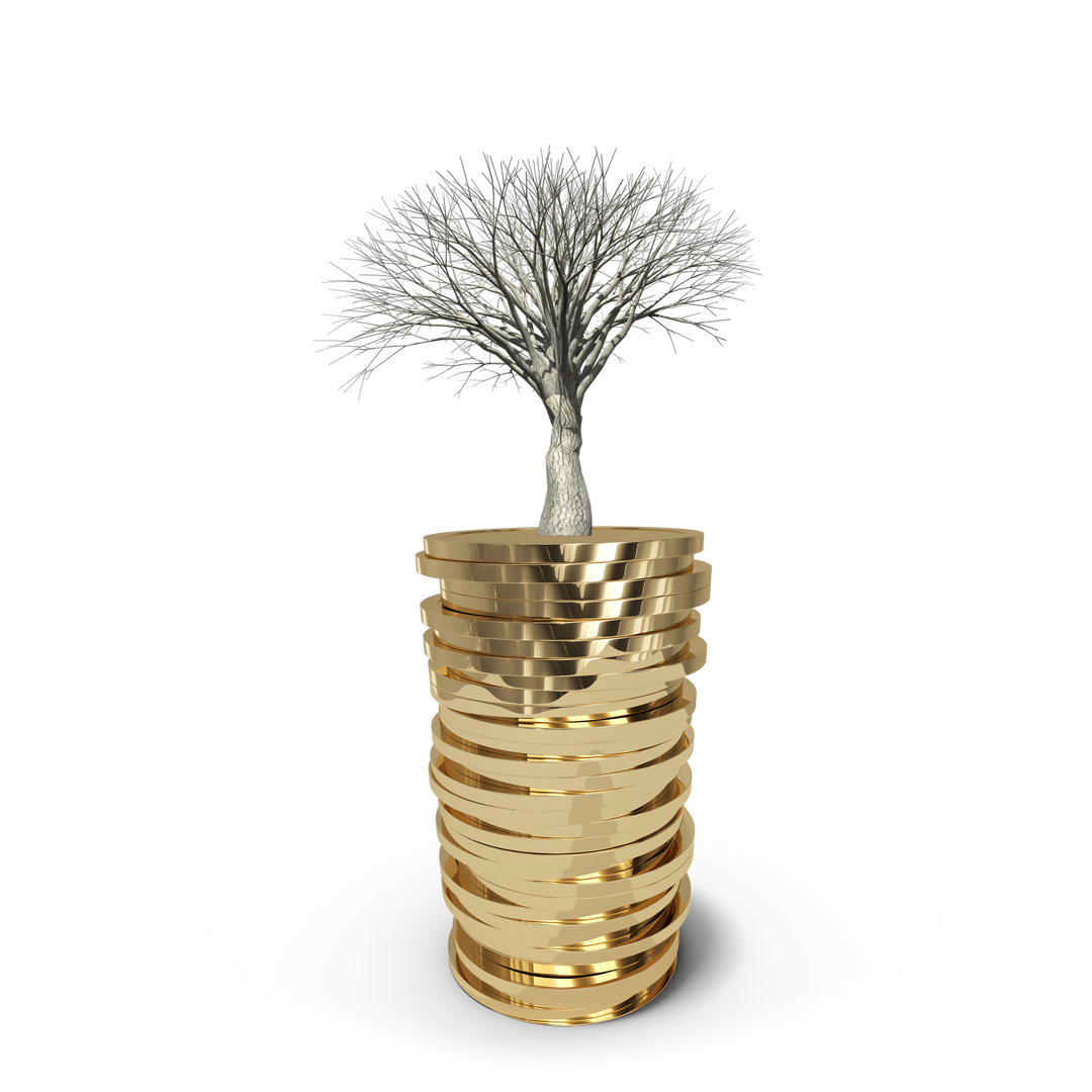 Golden Coins with Tree Growing Transparent Background - Finance and Nature Concept - Download Free Stock Images Pikwizard.com