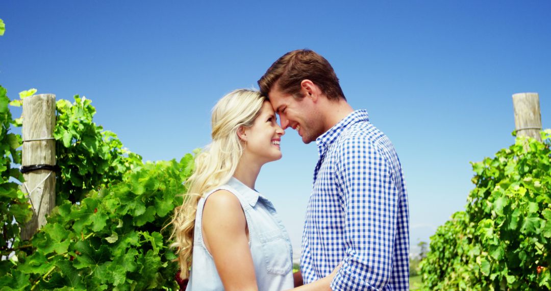 Romantic Couple Smiling in Vineyard on Sunny Day - Free Images, Stock Photos and Pictures on Pikwizard.com