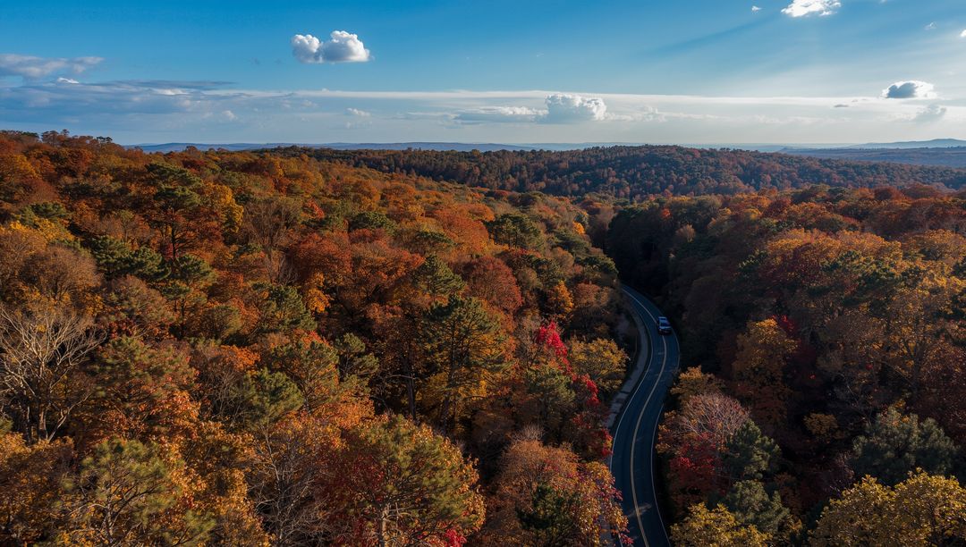 Vehicle Traversing Serene Winding Path Through Autumn Forest Canopy