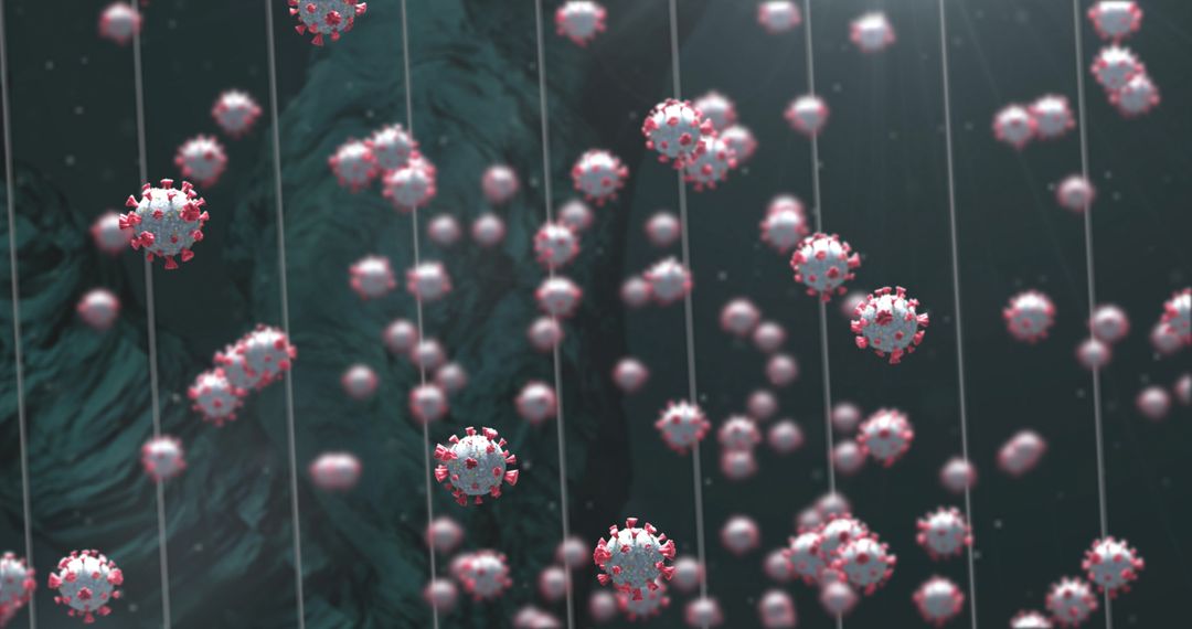 Digital Representation of Virus Cells and DNA Strands