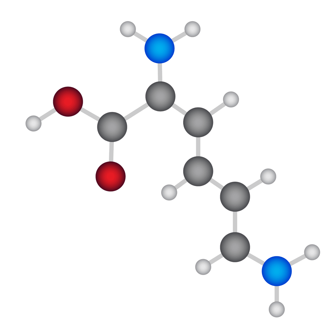 Colorful Transparent Molecular Structure Interaction