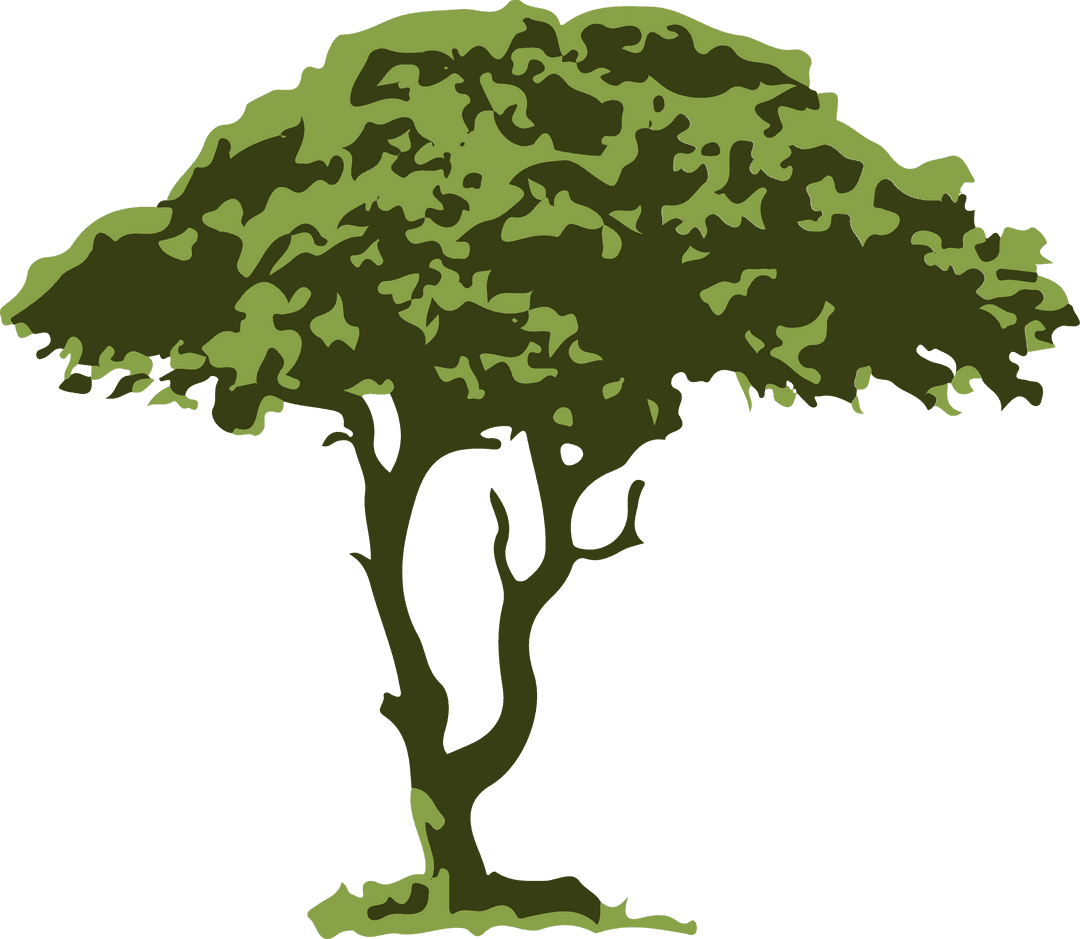 Minimalist Tree Illustration with Transparent Background