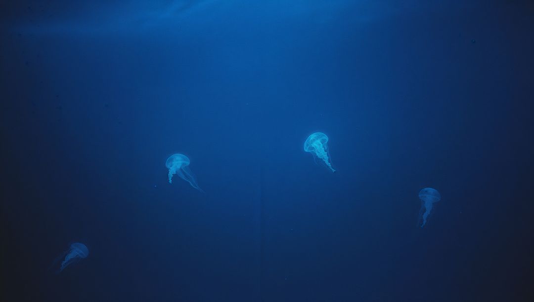 Tranquil Jellyfish Floating in Deep Blue Aquarium Waters
