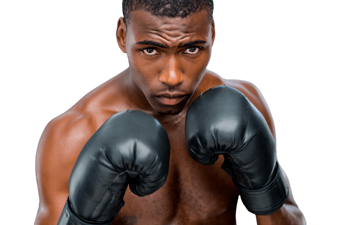 African American Male Boxer with Boxing Gloves Transparent Background - Download Free Stock Images Pikwizard.com