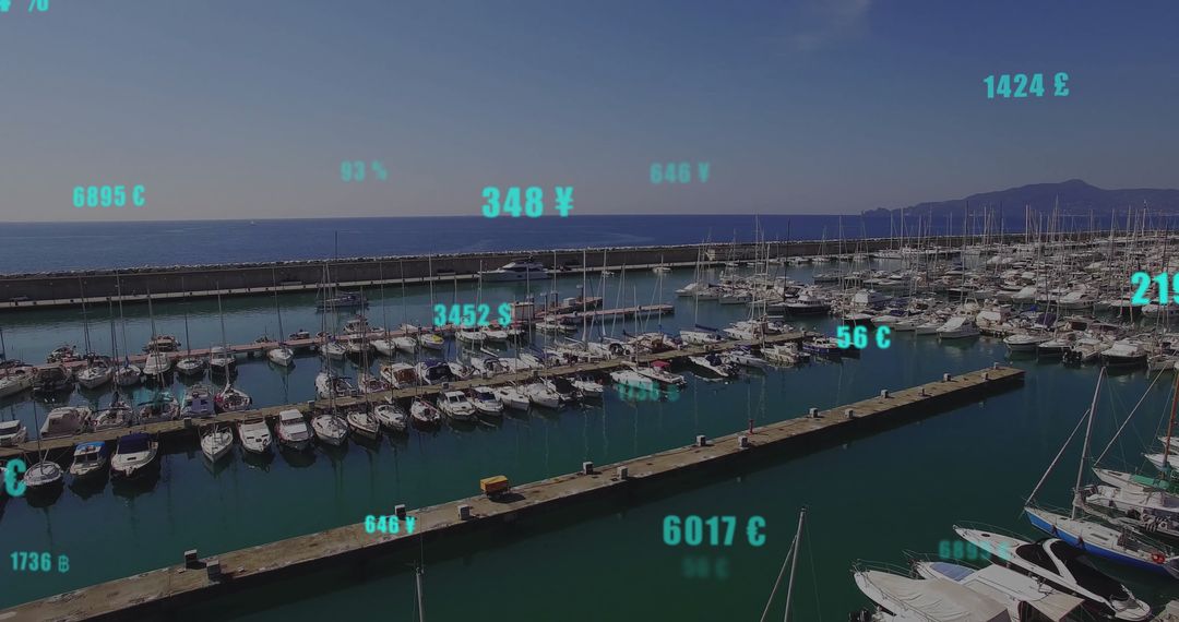 Digital Interface Scanning Port Marina with Data Overlay