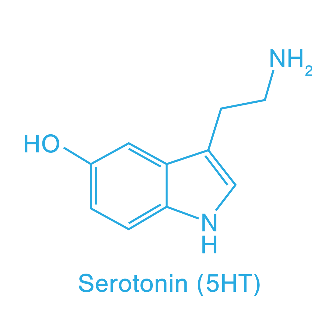 Transparent Illustrative Serotonin Molecule Structure and Formula
