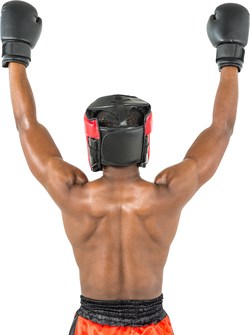 Transparent Rear View Boxer Celebrating Victory - Download Free Stock Images Pikwizard.com