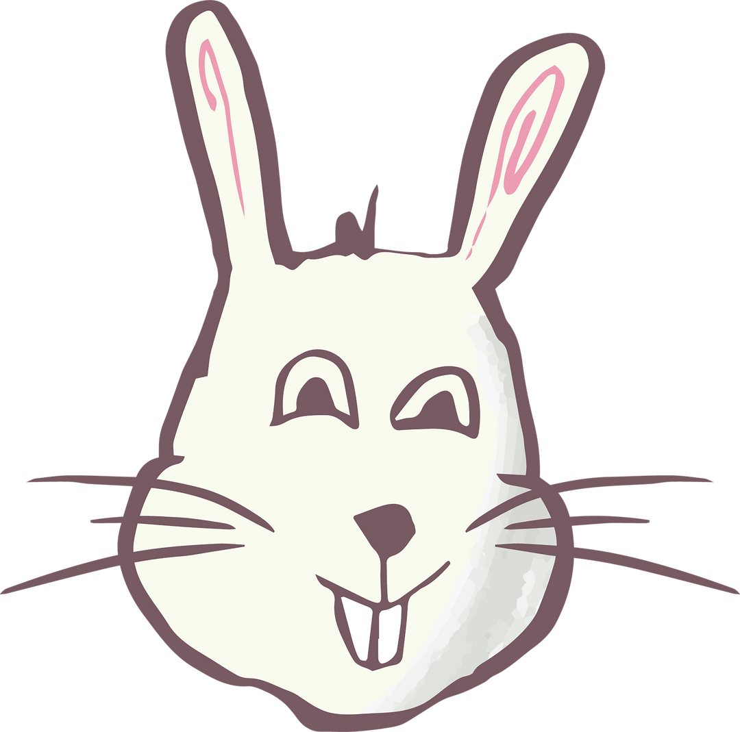 Whimsical Rabbit Face Graphic Transparent Background Cute Easter Animal Illustration - Download Free Stock Images Pikwizard.com