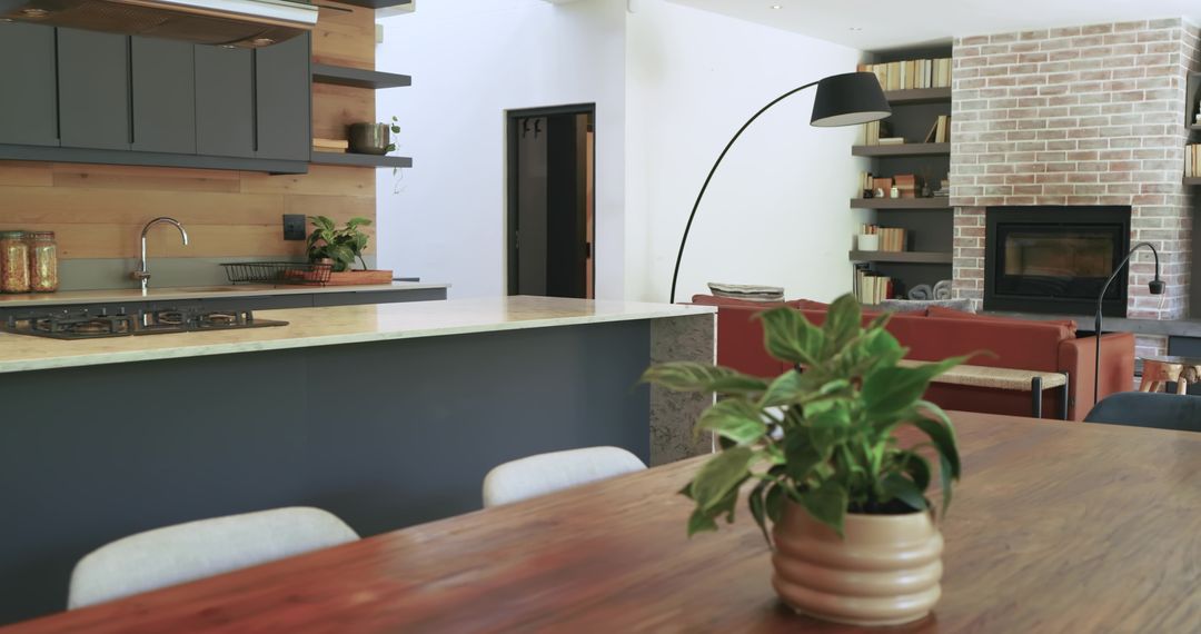 Modern Kitchen and Living Room with Indoor Potted Plants