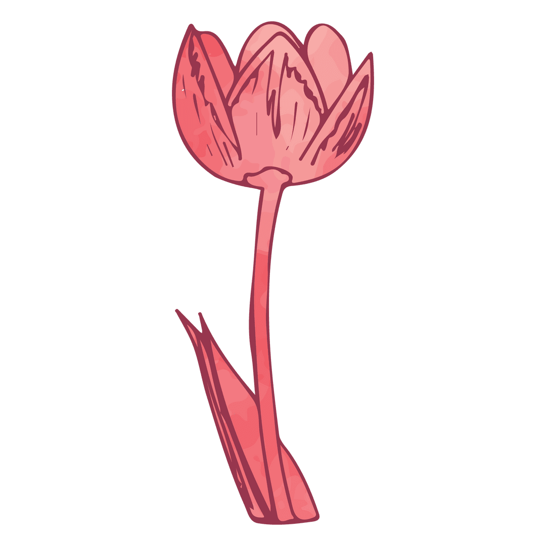 Elegant pink flower illustration on transparent background
