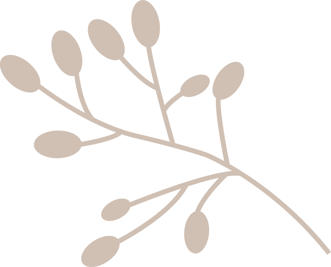 Transparent Botanical Branch with Oval Buds on Clear Background