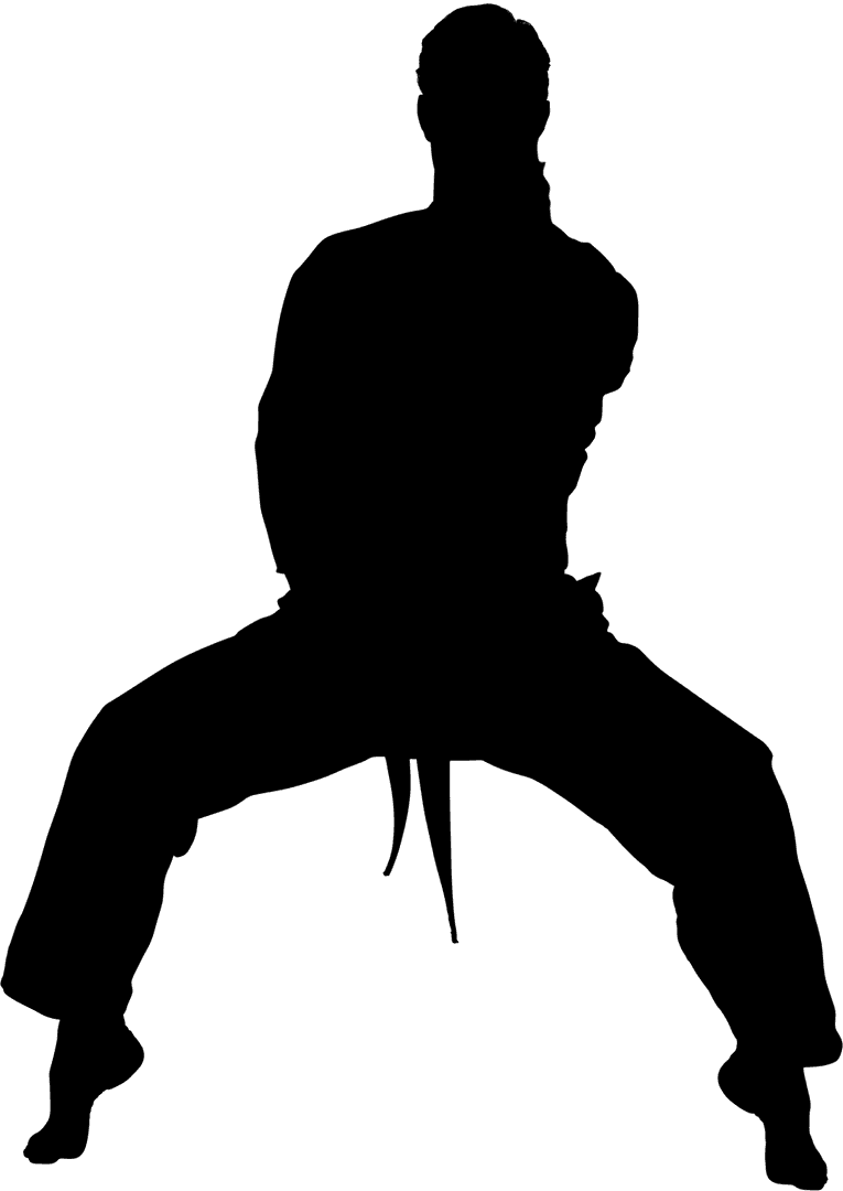 Transparent Male Karate Fighter Silhouette