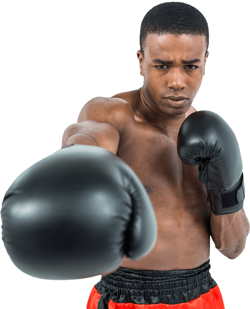 Focused Male Boxer in Upright Stance with Gloves Transparent Background - Download Free Stock Images Pikwizard.com