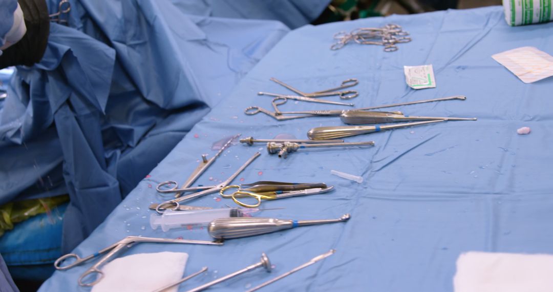 Veterinary Surgery with Horse Hoof Focus and Instruments