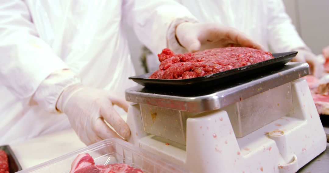 Butchers Weighing Fresh Meat in Processing Facility - Free Images, Stock Photos and Pictures on Pikwizard.com