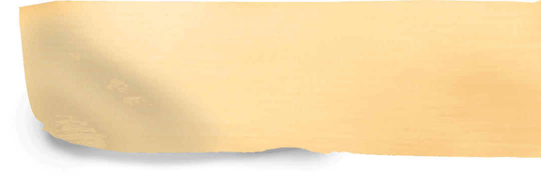 Transparent Antique Paper Texture Paleo Design Element