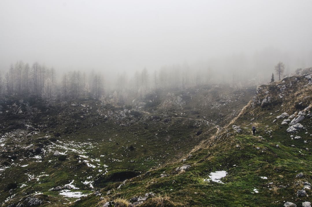 Misty Mountain Landscape with Hazy Forest and Rocks - Free Images, Stock Photos and Pictures on Pikwizard.com