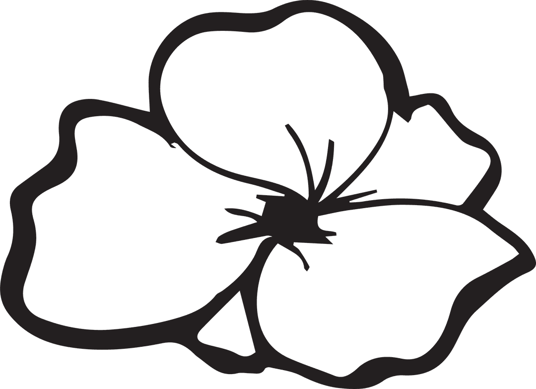 Elegant Black Flower Line Drawing on Transparent Background