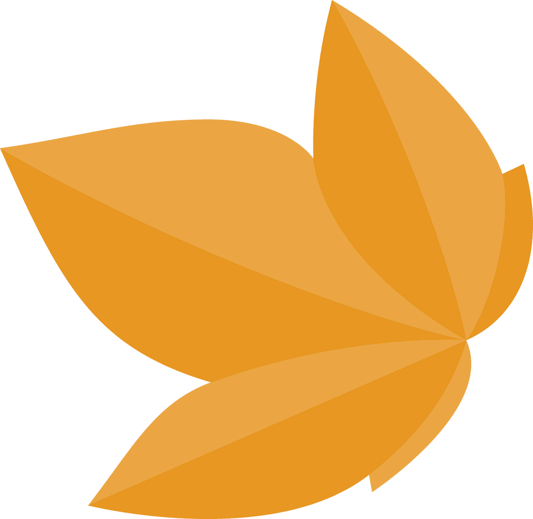 Abstract Geometric Orange Petal Cluster on Transparent Background