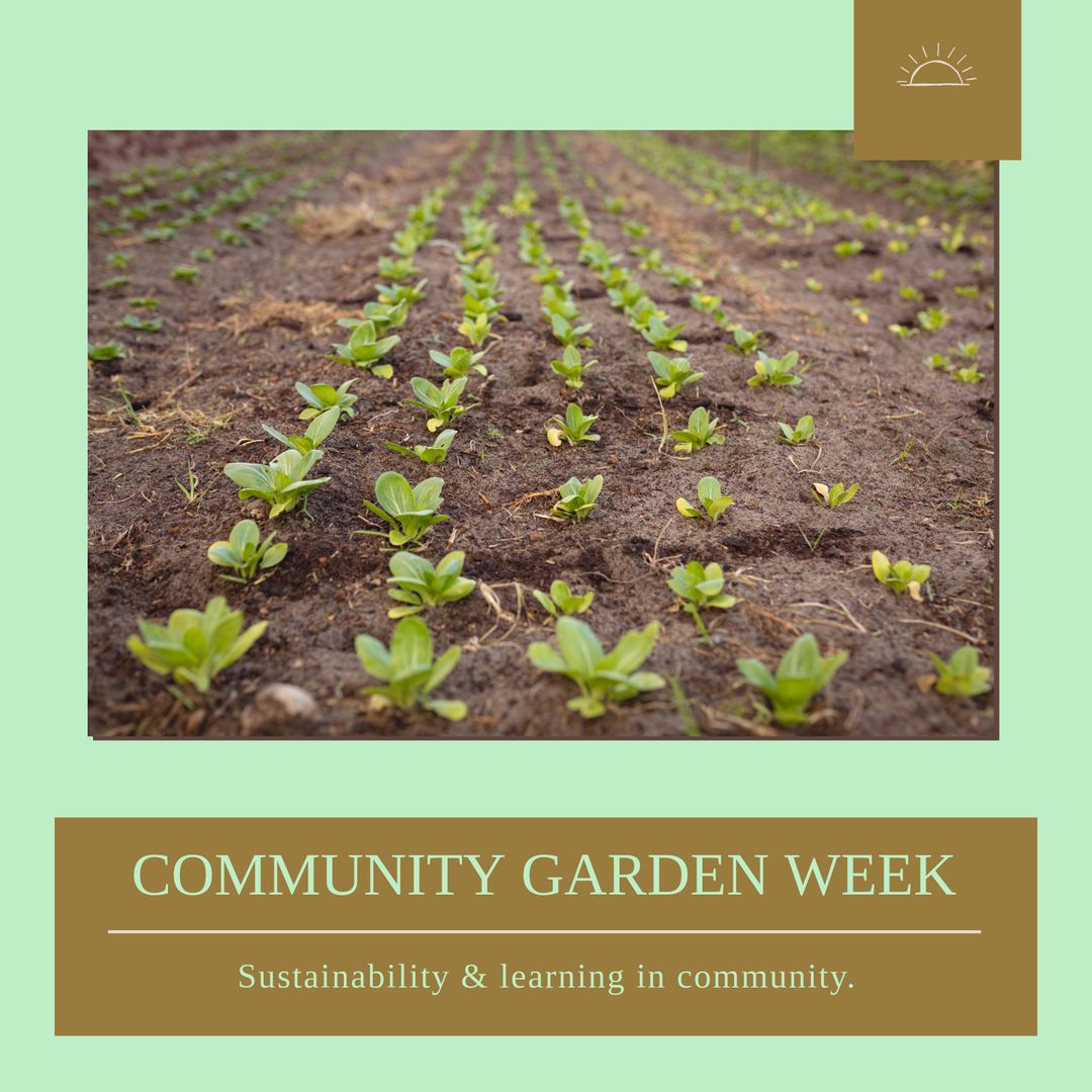 Celebrating Community Garden Week with Seedlings in Rows