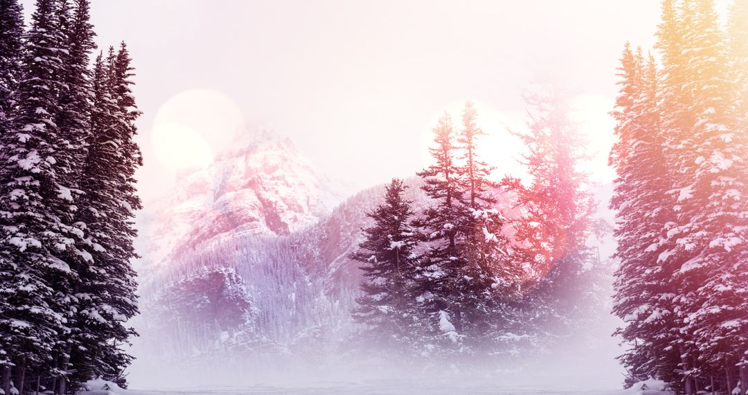 Scenic Snow-Covered Mountain and Forest Landscape at Sunrise