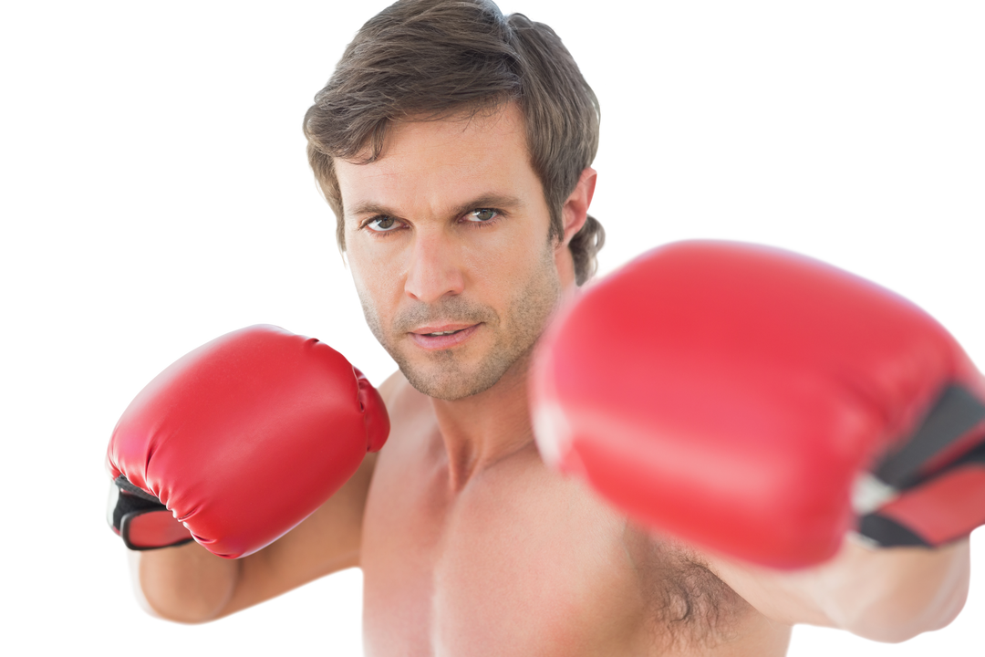 Focused Caucasian Boxer with Red Boxing Gloves Transparent Background - Download Free Stock Images Pikwizard.com